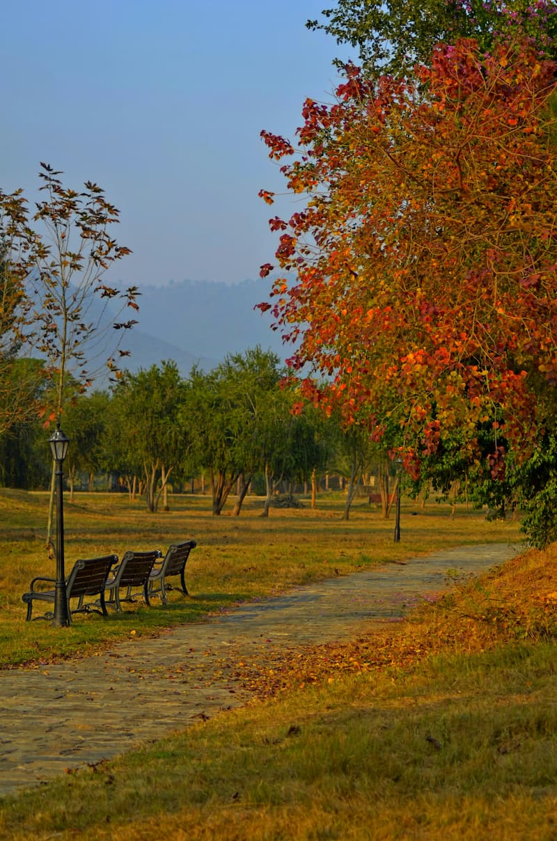 Chandigarh — Capitol Complex and Rock Garden