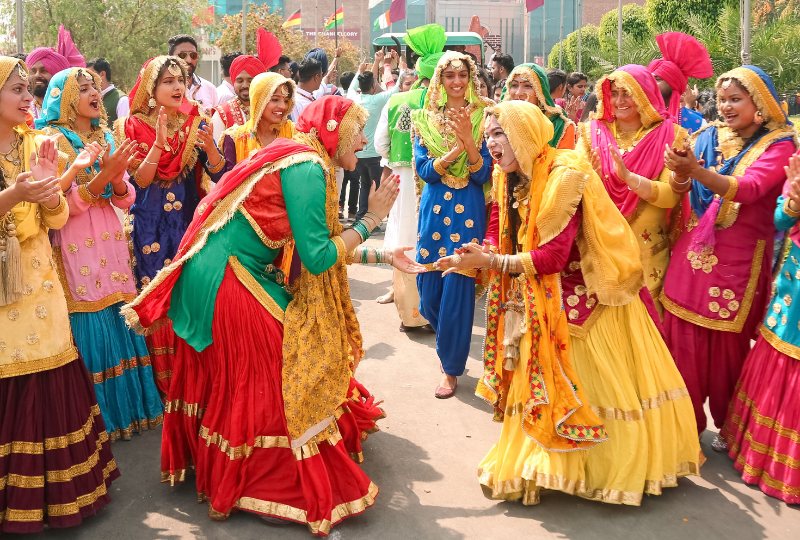 Discover Punjab — Golden fields, temples and wetlands