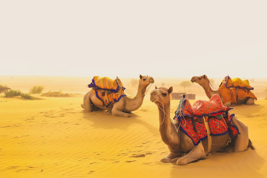 Jaisalmer — The Golden City